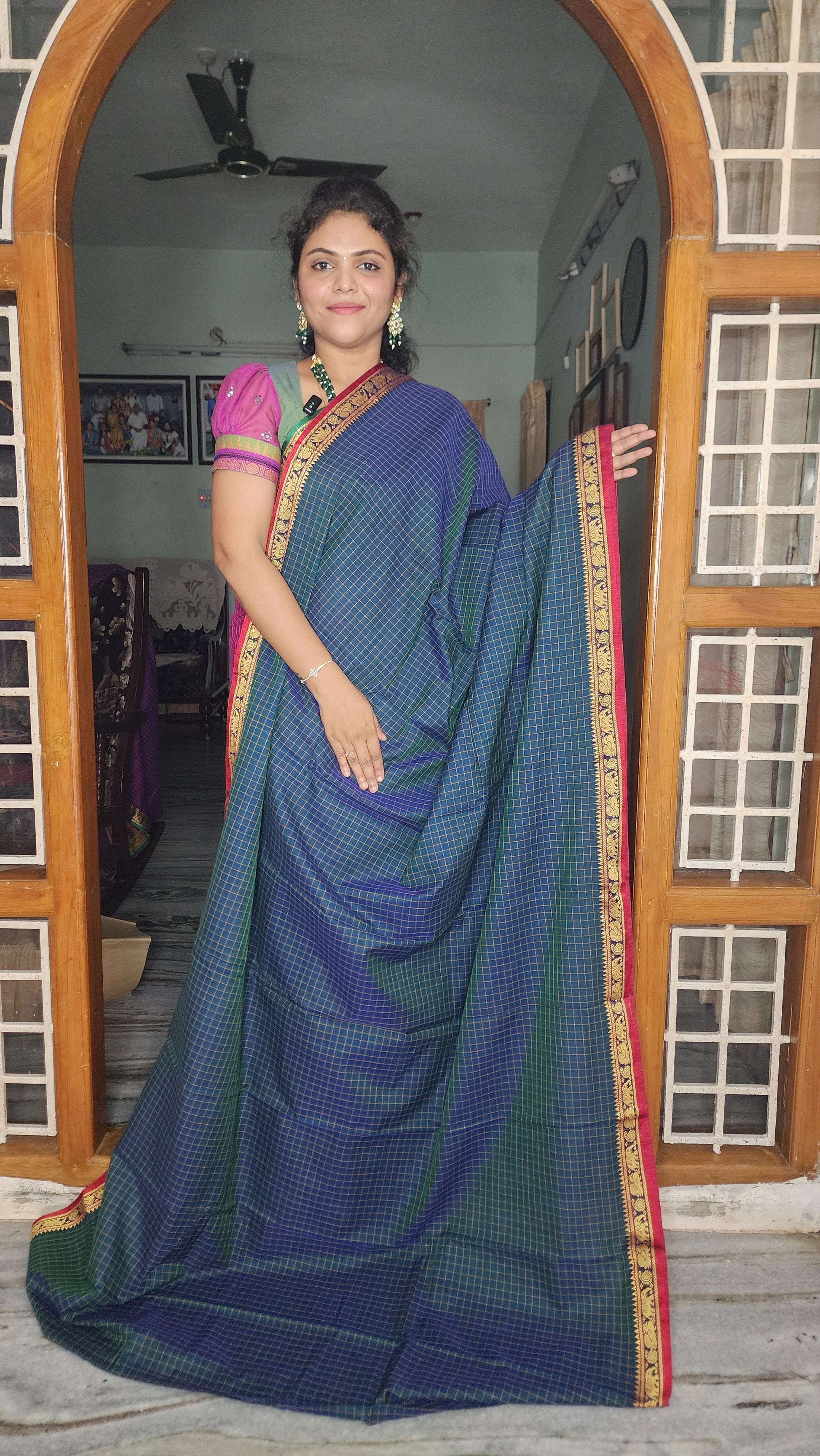 NARAYANA PET COTTON SAREE