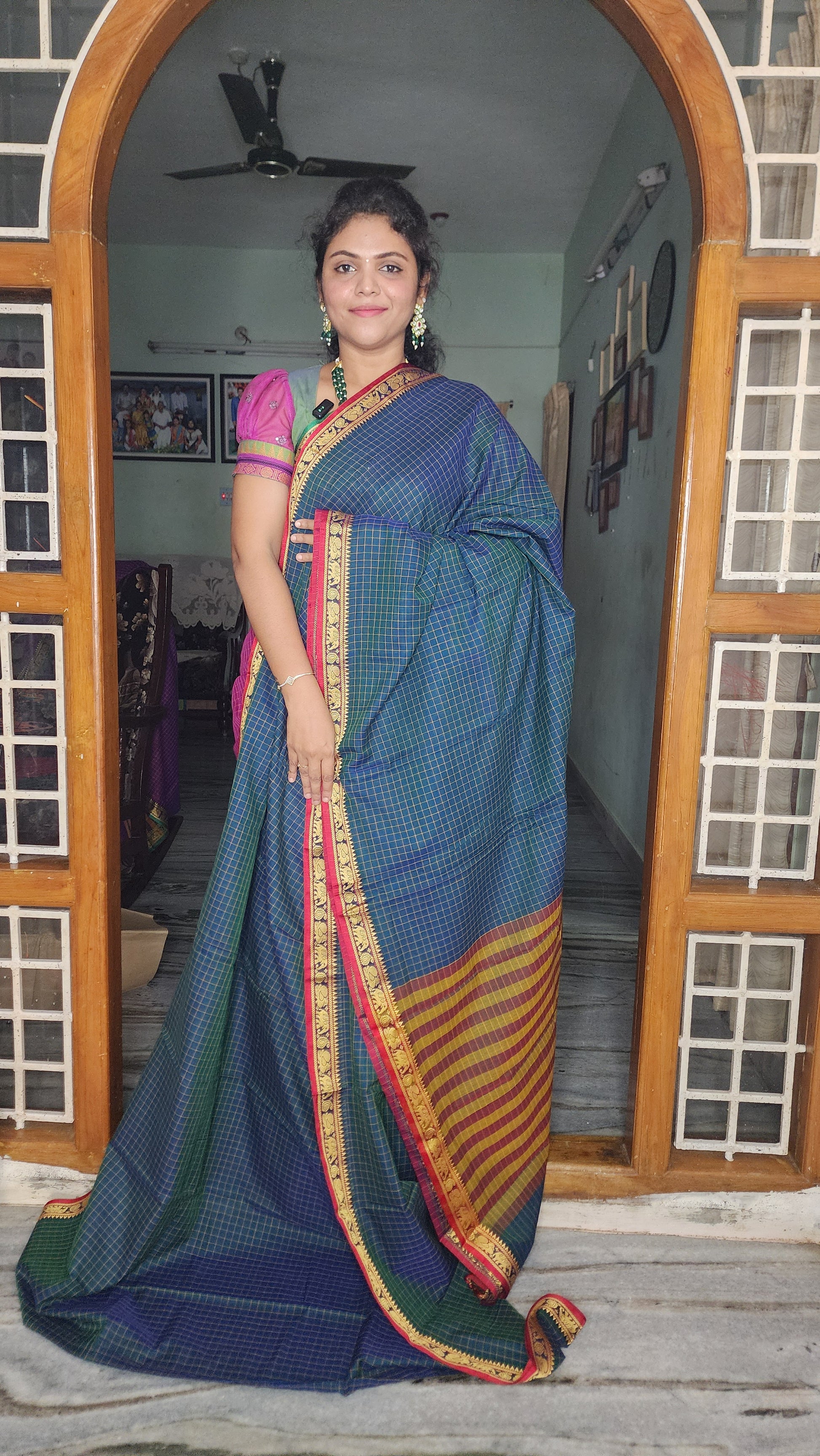 NARAYANA PET COTTON SAREE